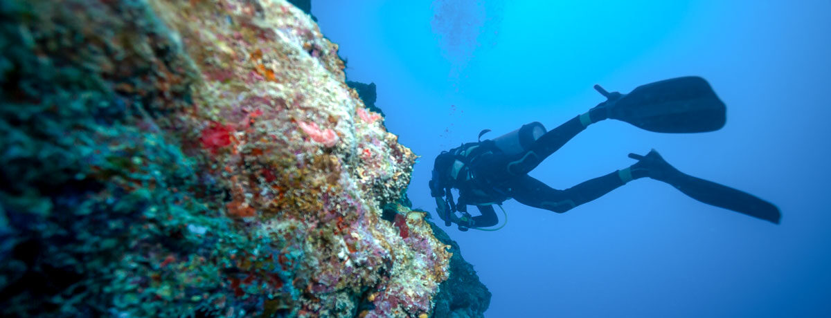 site-mar